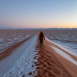 Oldest whiskey distillery in the world and how to visit it