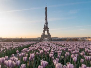 France in April: what to do, see and expect during springtime
